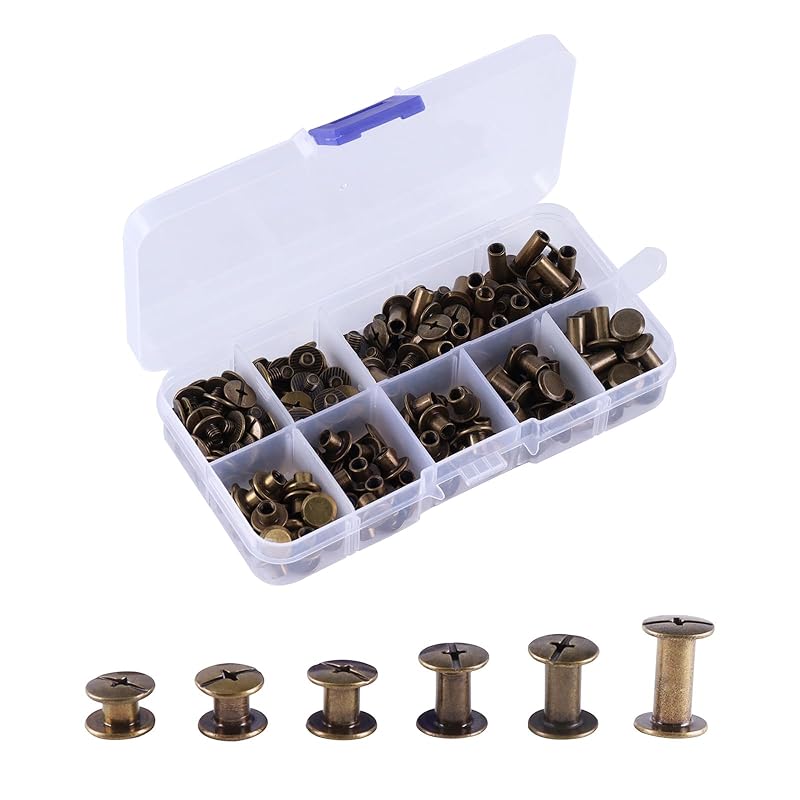 Chicago Screws Leather Assorted Kit,6 Sizes of Screw Rivets for Leather Rivet for DIY Leather Craft and Bookbinding